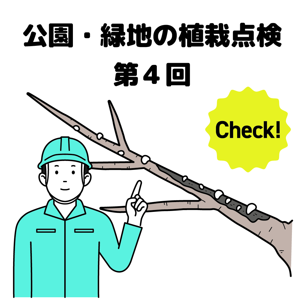 街の樹木NewsLetter Vol.16　2月号　公園・緑地の植栽点検シリーズ第4回－樹⽊の安全点検−倒⽊や落枝の危険を発⾒しよう！ その１−枯枝